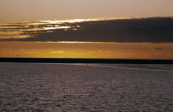 1986-waddenzee-dia-095.jpg